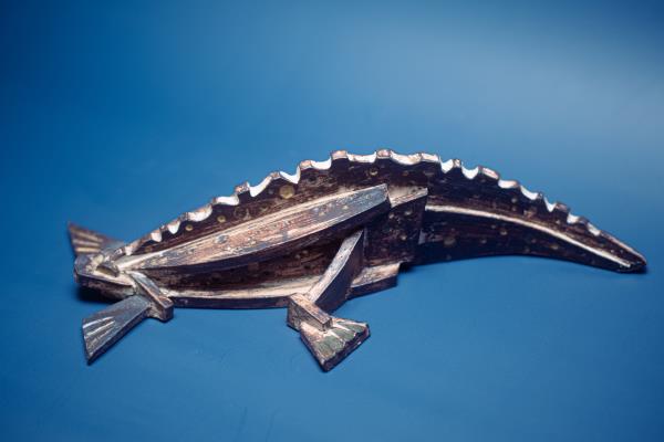 Varan voorbeeld